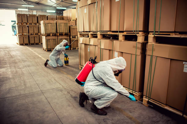 Best Rat Extermination Near Me  in Dos Palos, CA