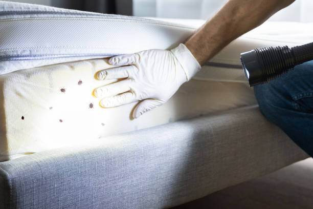 Best Pest Inspection Near Me  in Dos Palos, CA