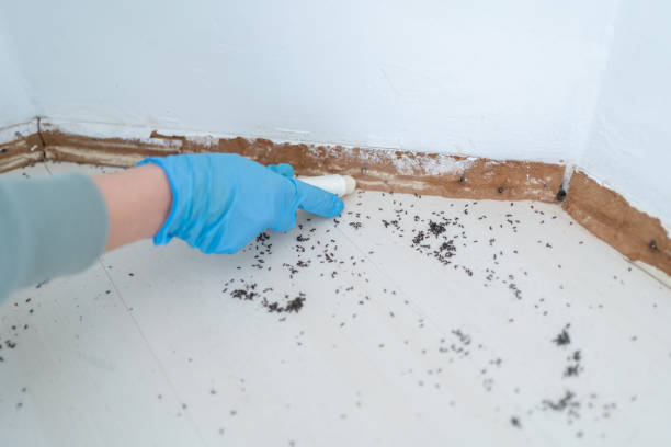 Best Wildlife Control Services  in Dos Palos, CA